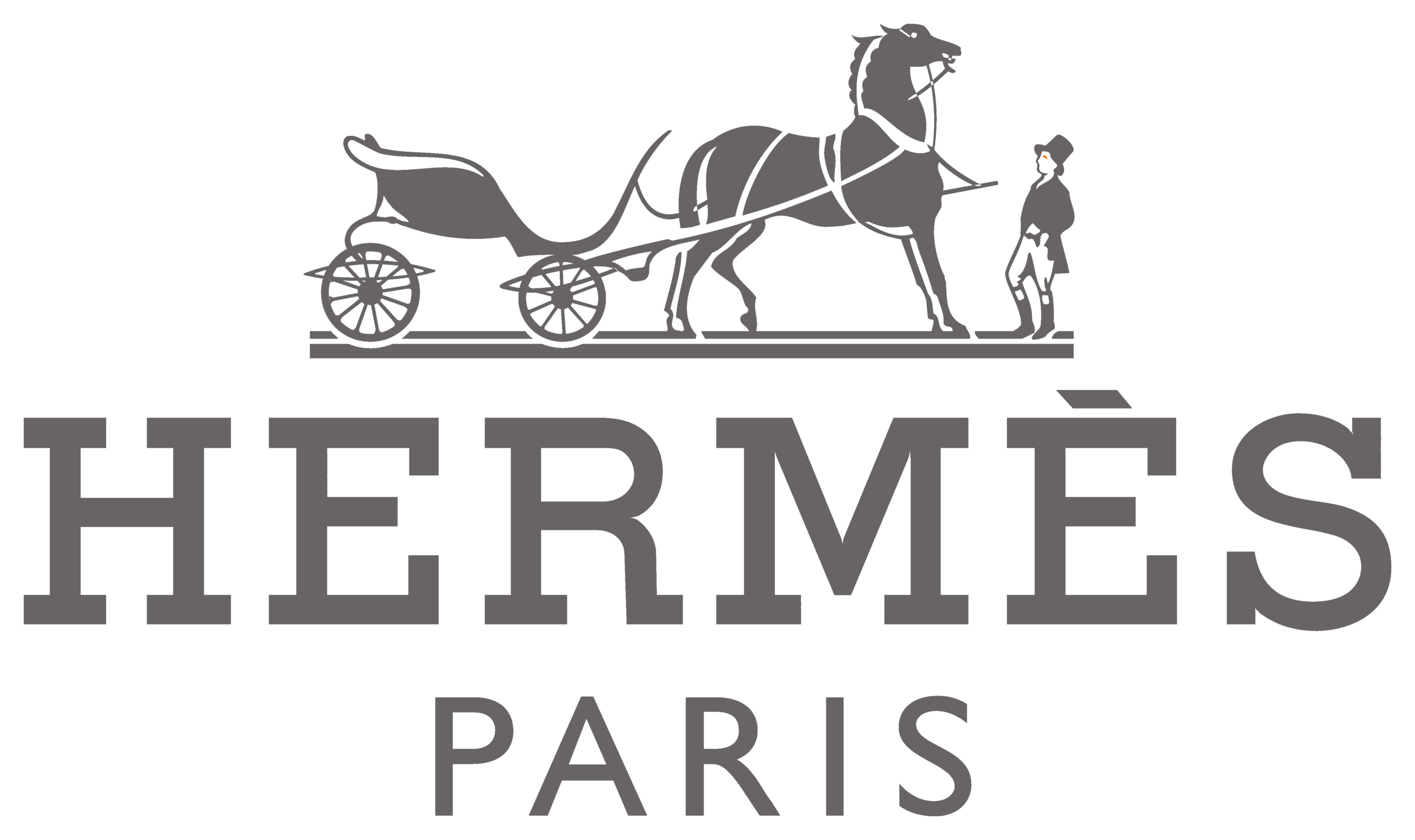 Hermes_logo gray.png