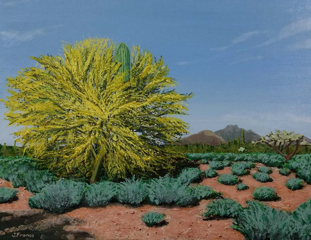 Saguaro Surrounded, 20x16in, Oil on Canvas