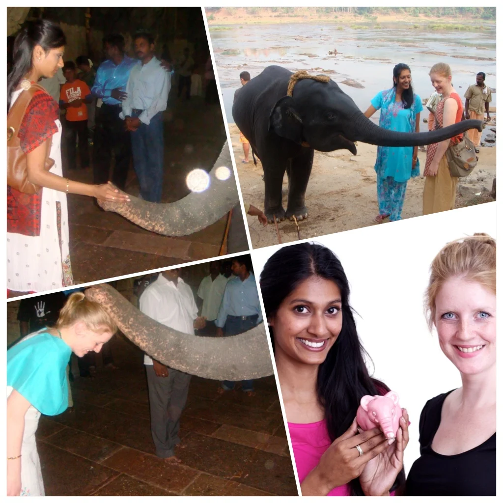 Why an elephant? Why a tribe? Why pink? 