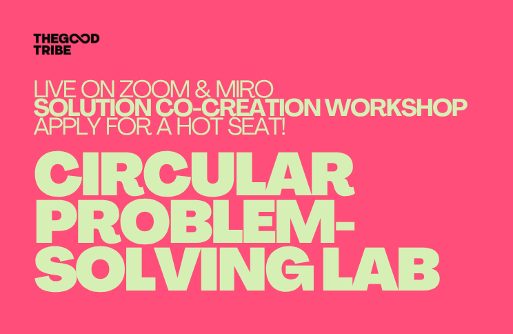 Pink poster advertising a workshop called Circular Problem-Solving Lab, hosted on Zoom and Miro, with a call to apply for a seat.