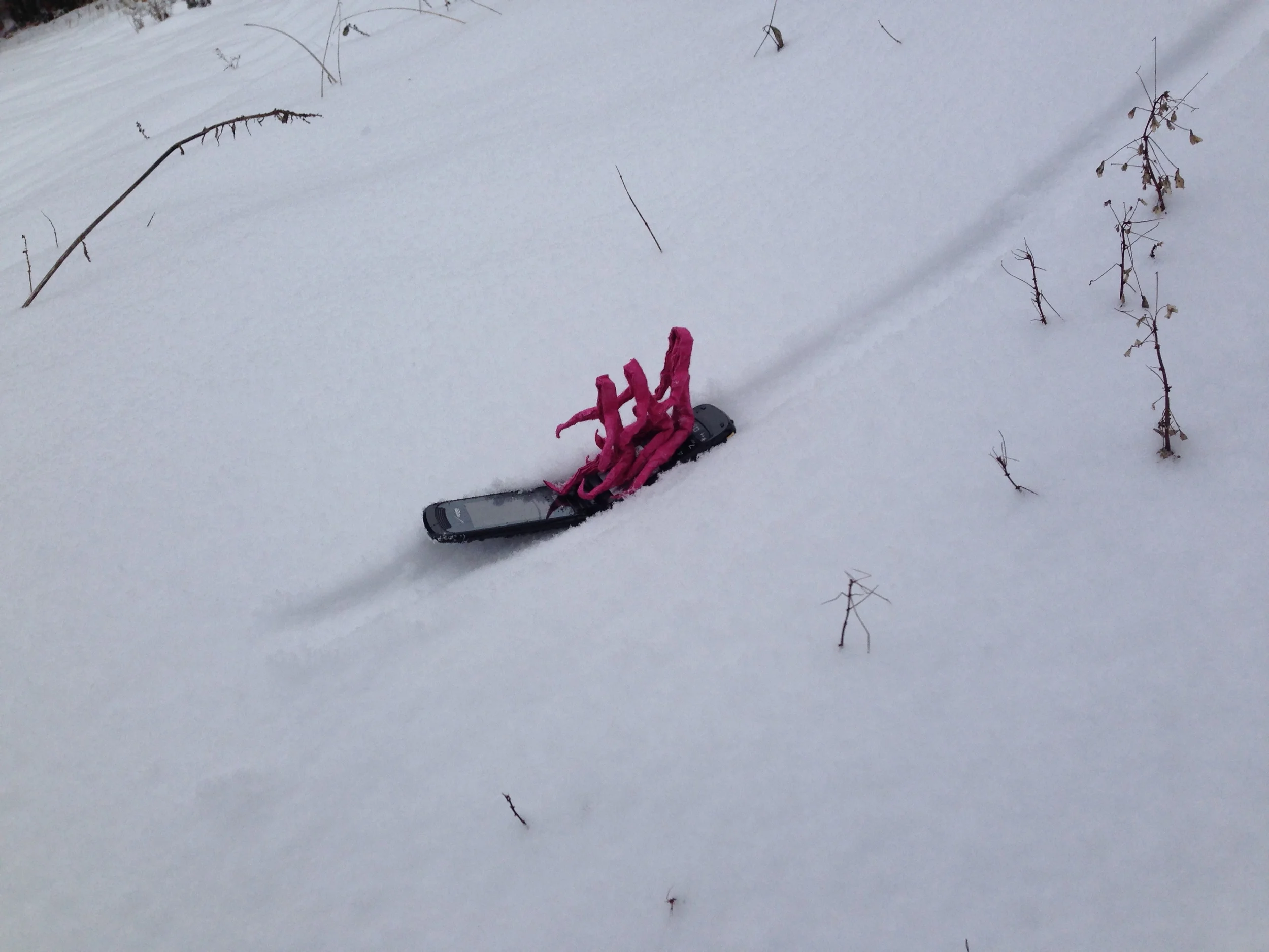sled.jpg
