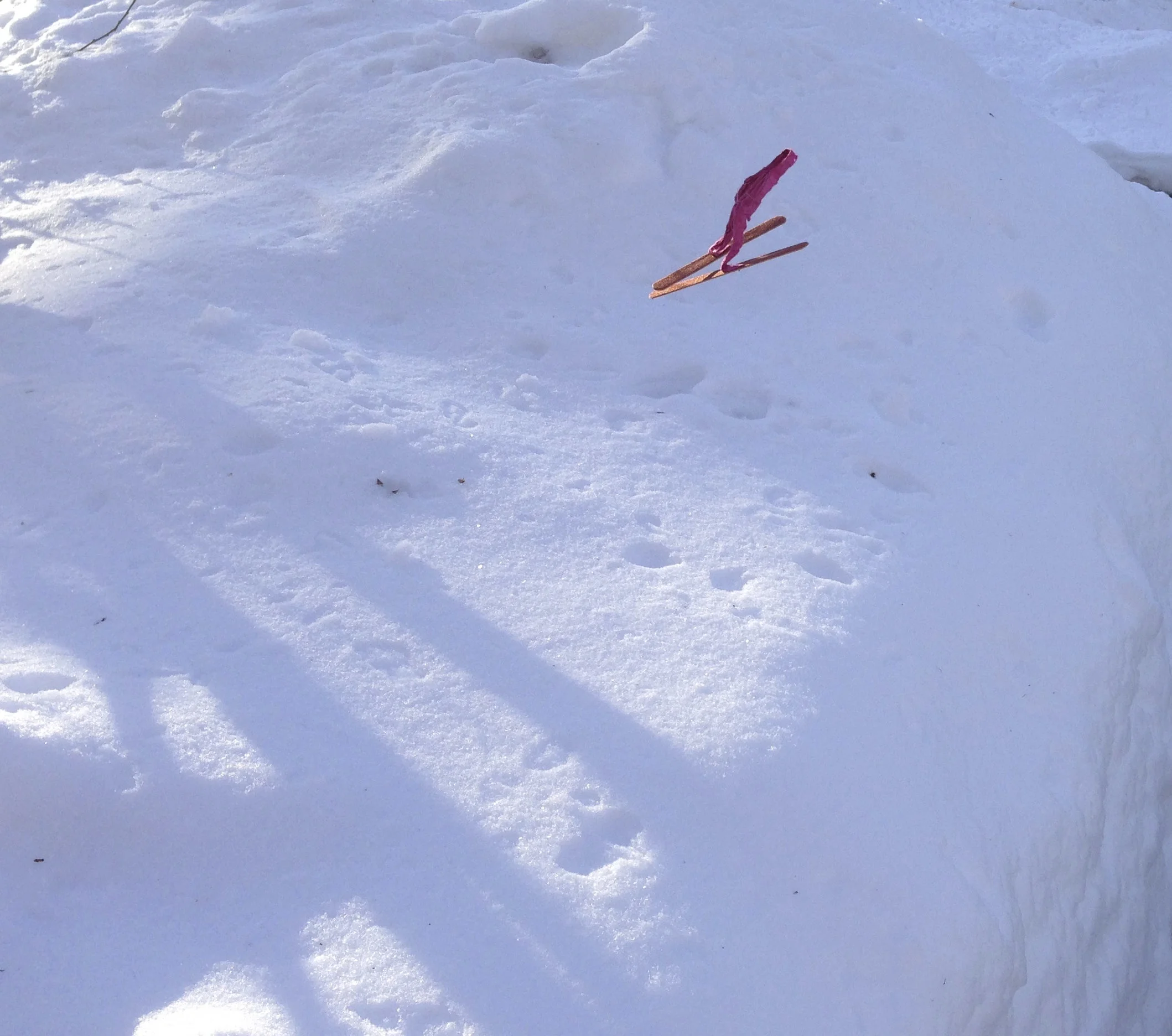 skijump2.jpg