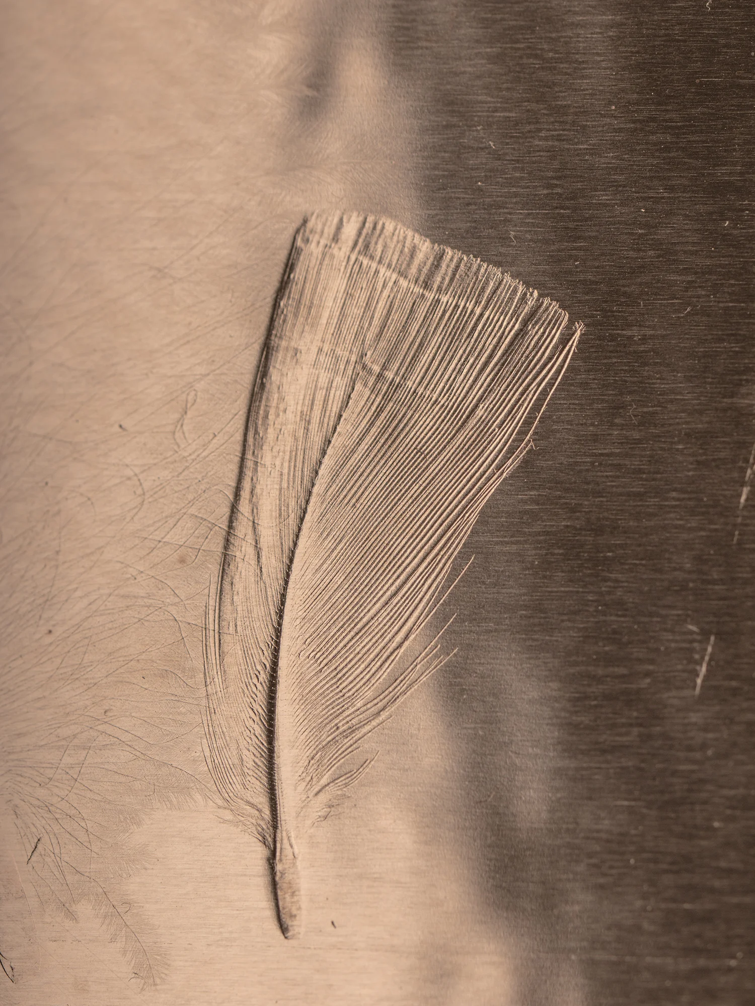 Christina-Pauls-Feder-Kupfer-Federbild-Detail.jpg