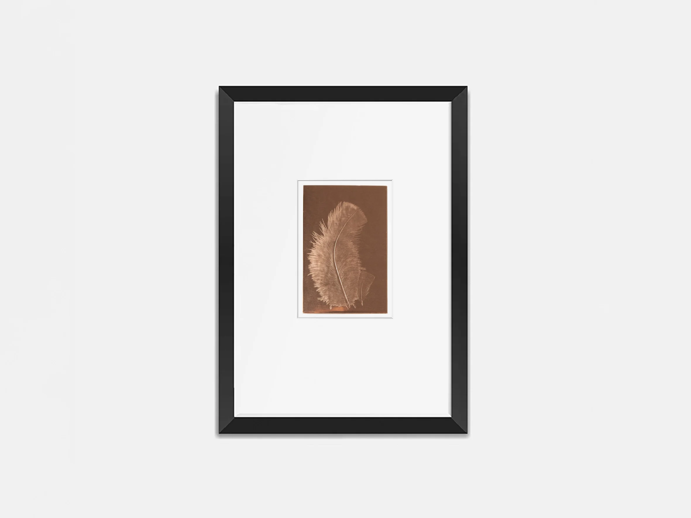 Federbild auf Kupfer 30x40cm