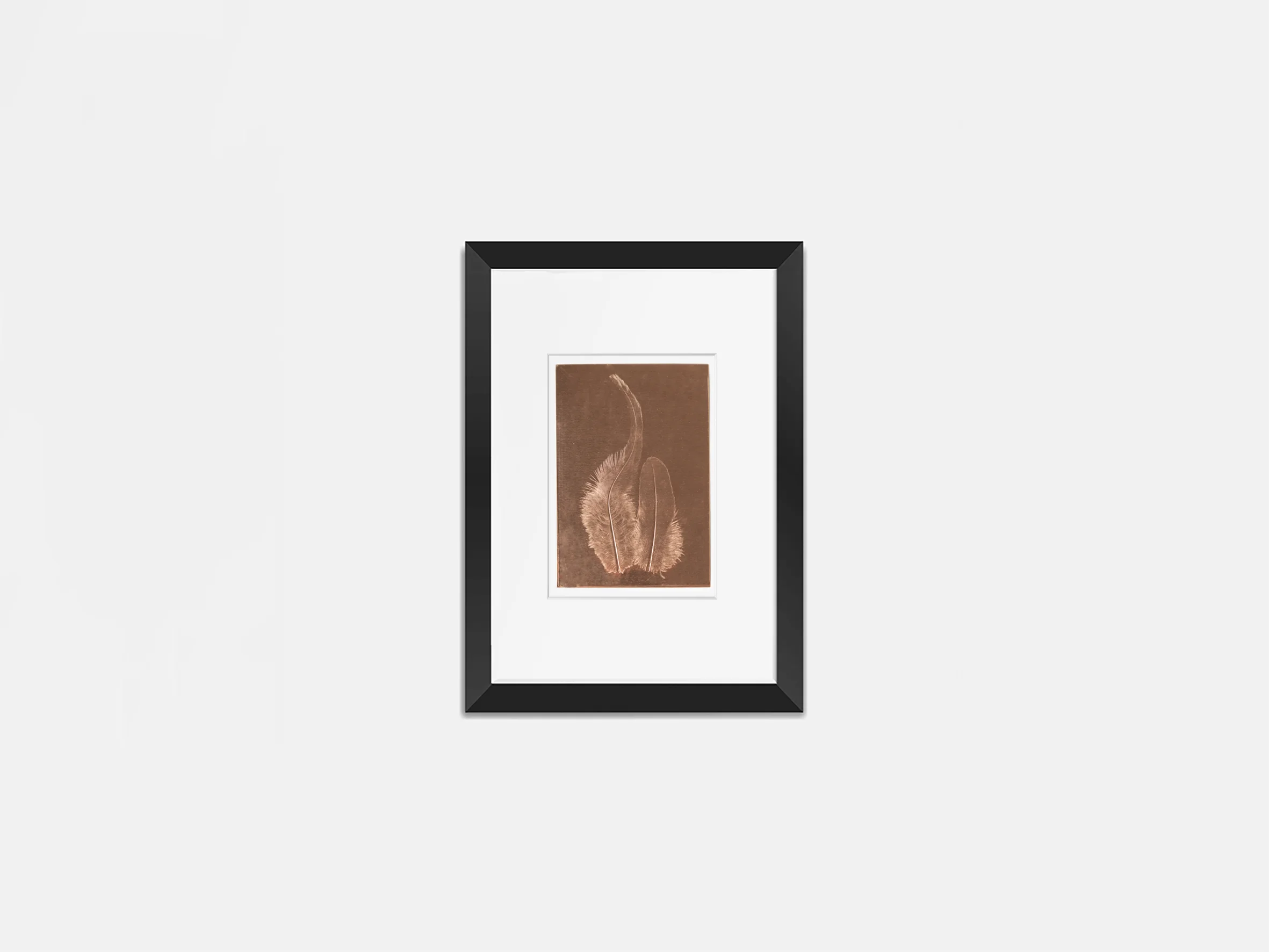 Federbild auf Kupfer 21x30cm