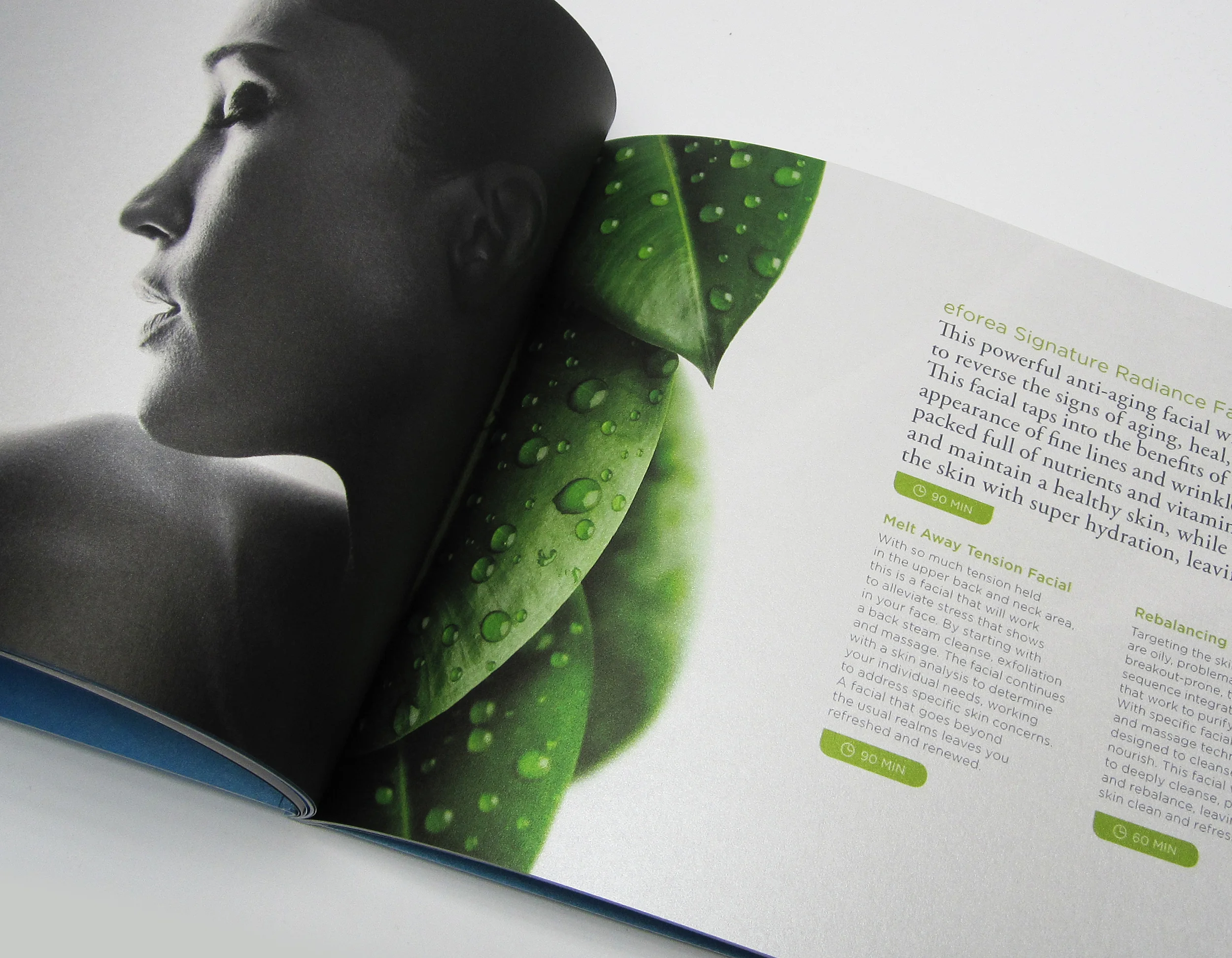 Eforea_Brochure Inside 2.jpg