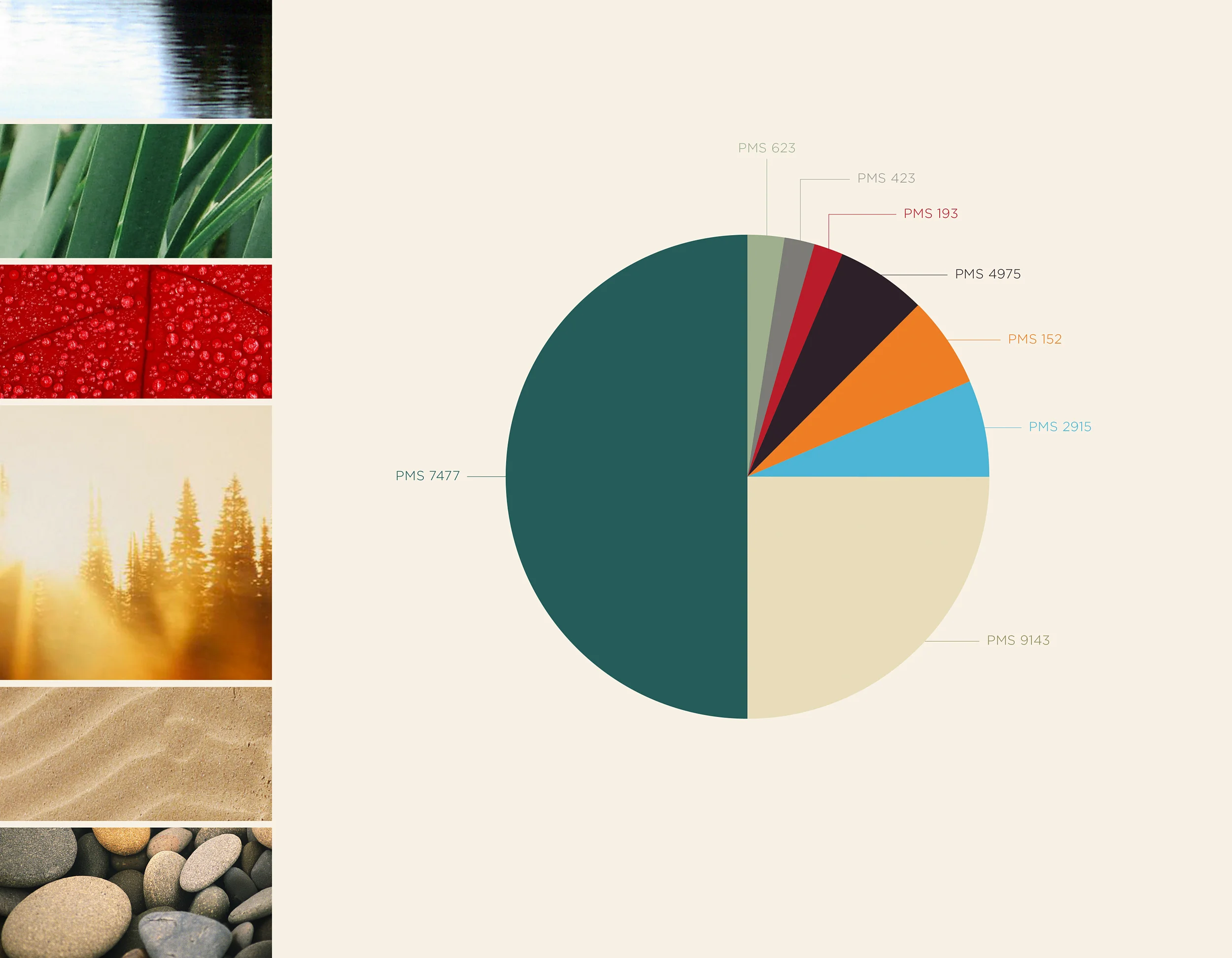 Colour Palette