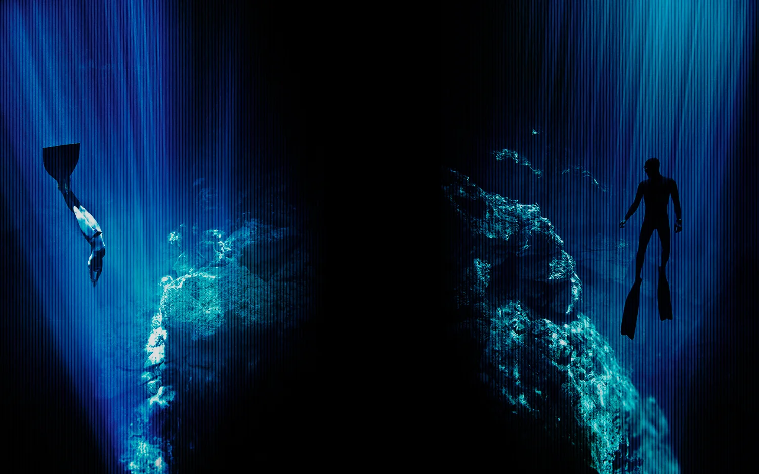 Prova di Articolo Blog News