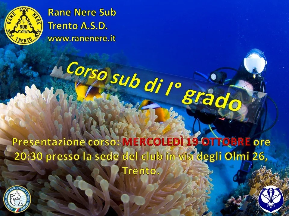 Presentazione Corso Sub 1° grado