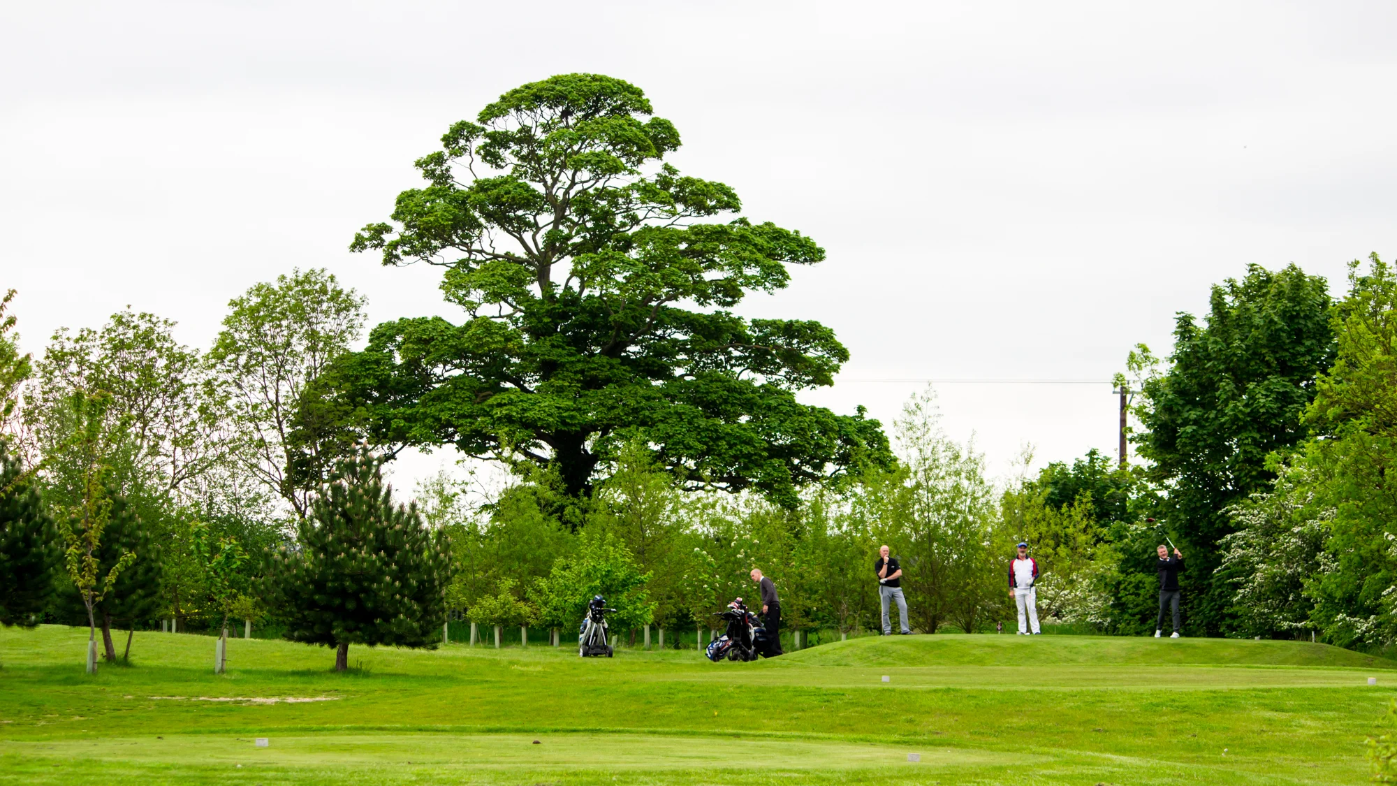 2016 Pro-Am-11.jpg
