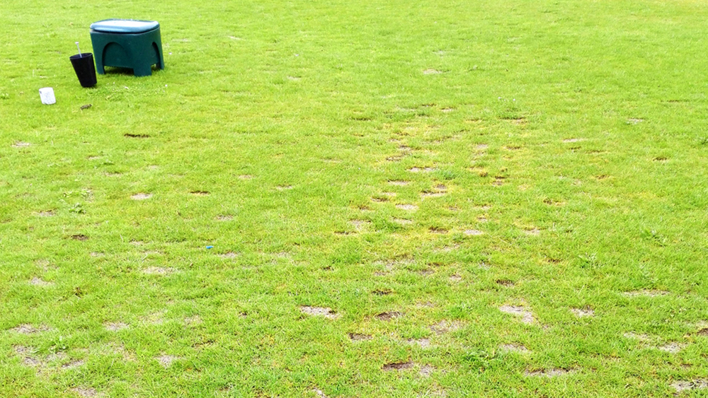 Divot Boxes on Par 3 Tees