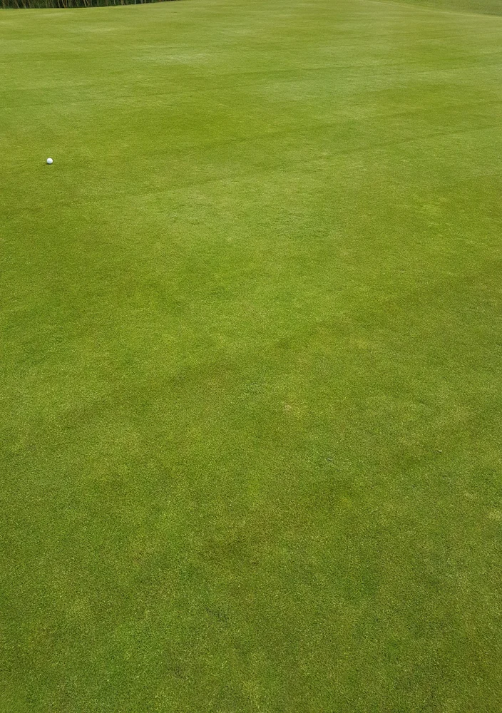 Greens surface May 2017