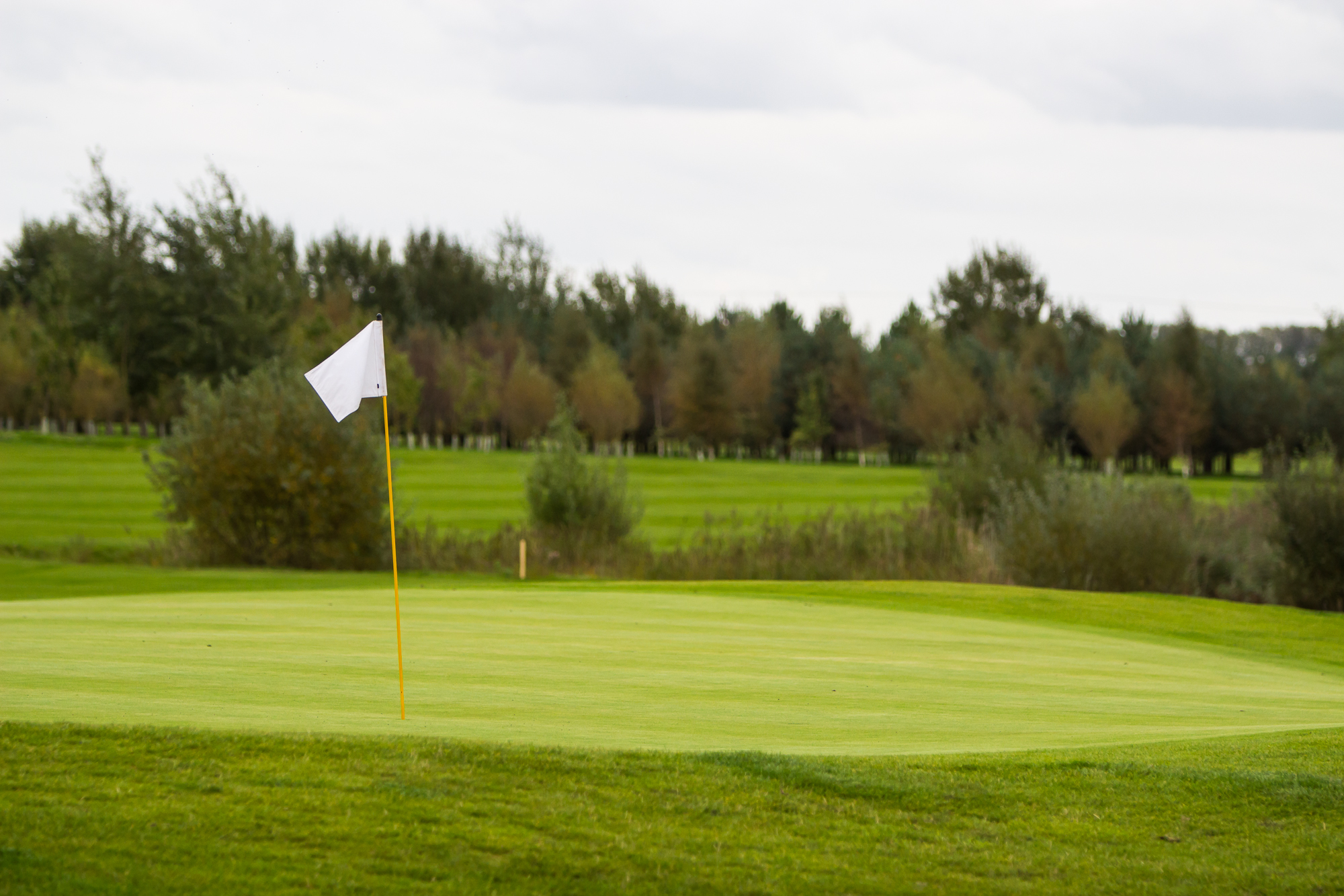 2017 Macthplay Finals Day-48.jpg