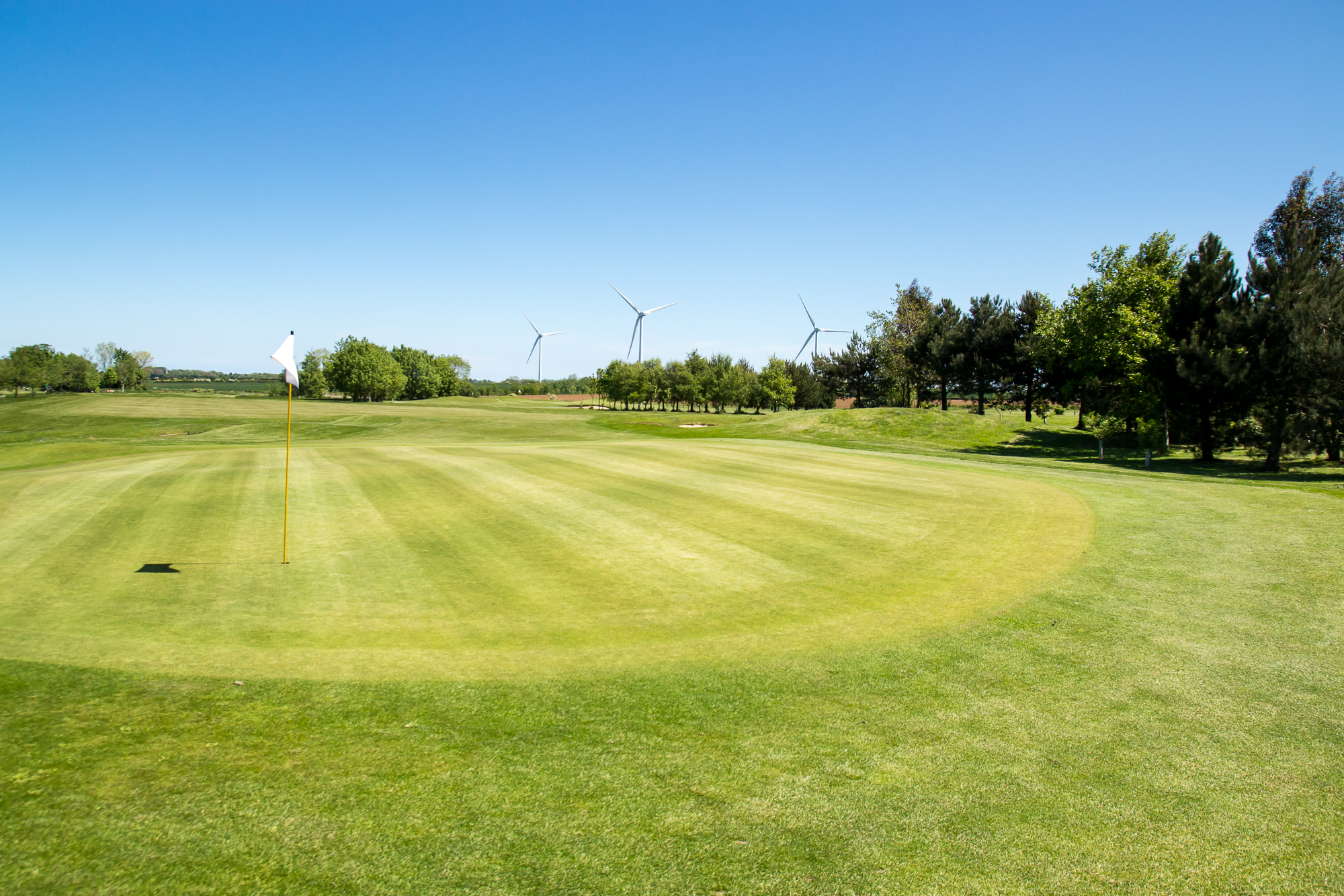 2019 Pro-Am-13.jpg
