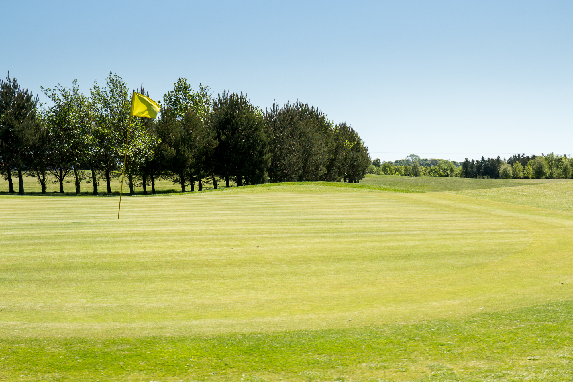 2019 Pro-Am-16.jpg