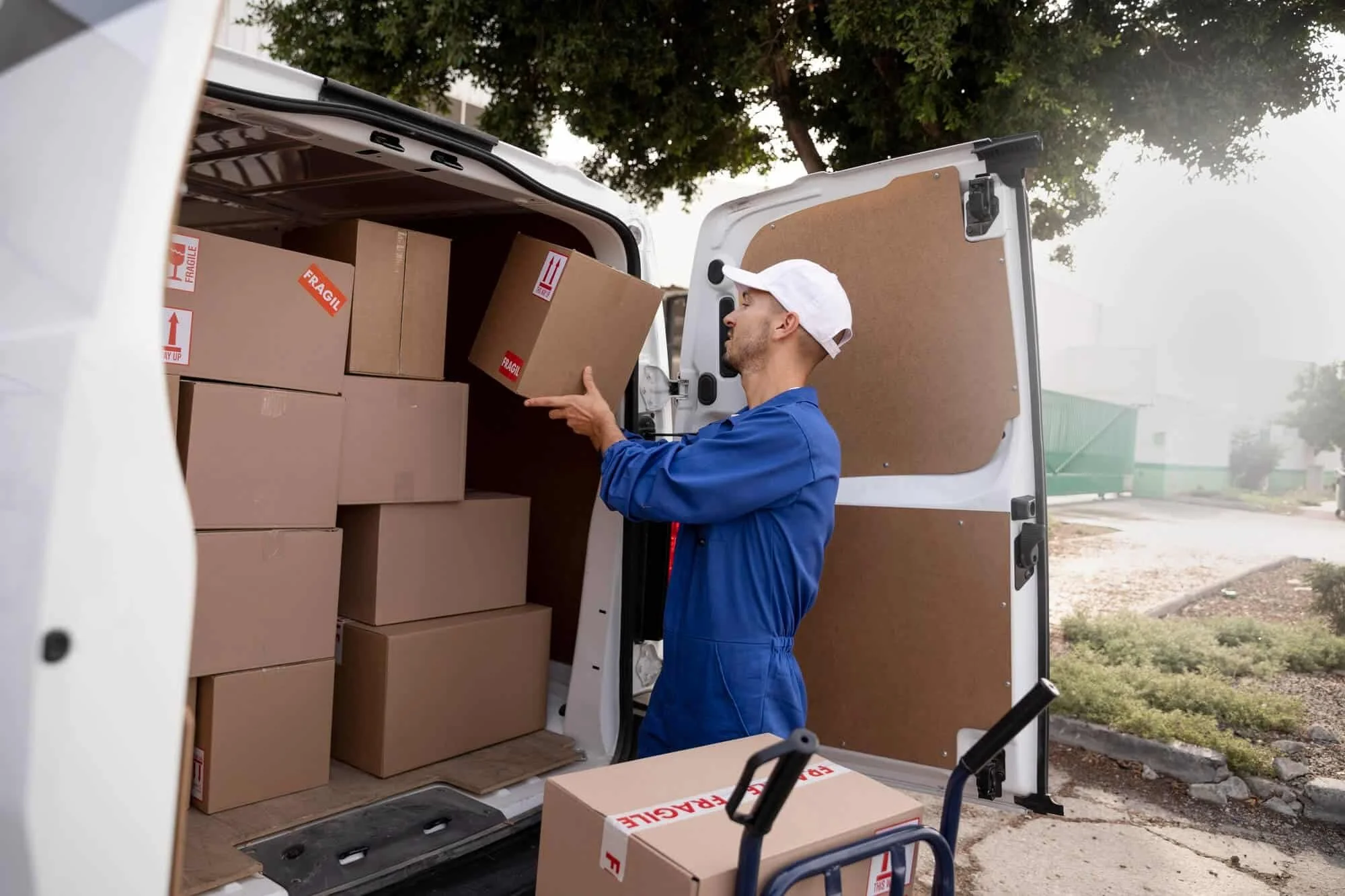Uncovering the Benefits of Expedited Shipping for Time-Critical Shipments