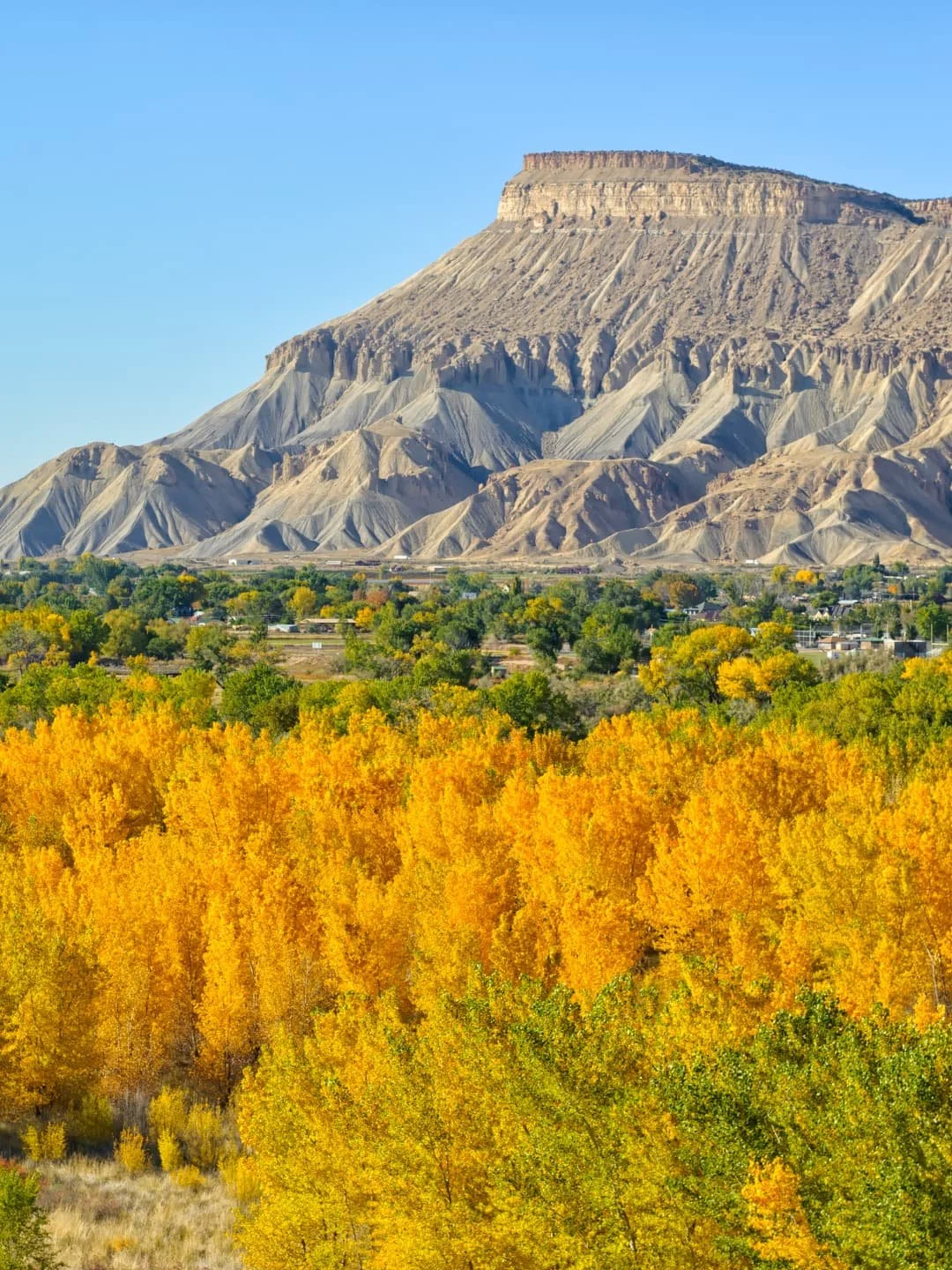 A large mountain with layered, rocky slopes in the background, and a flat, vegetation-filled foreground with trees showing vibrant yellow, orange, and green autumn colors.
