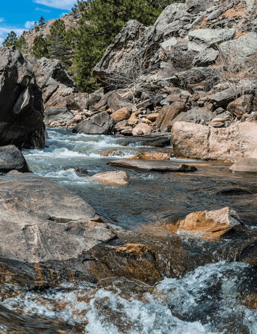 A rocky mountain river flowing through a forested landscape with trees and large boulders.