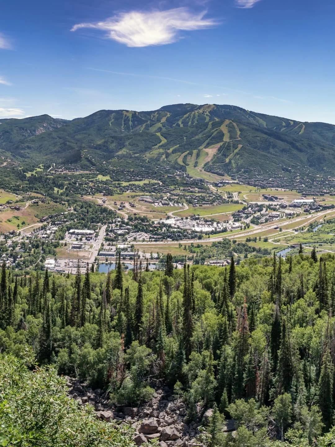A panoramic view of a mountain landscape with ski slopes, a town in the valley, and dense pine trees in the foreground.