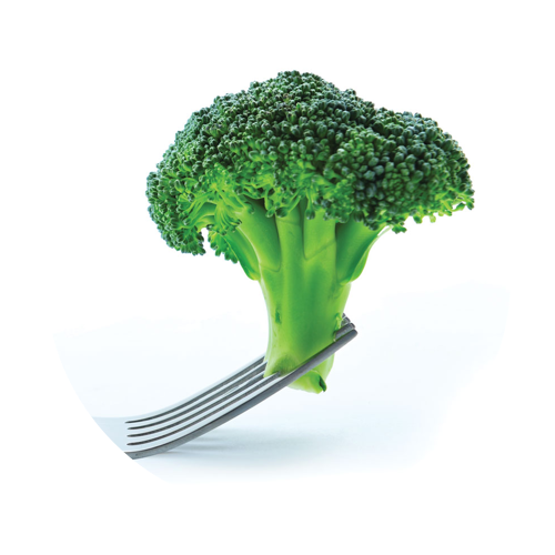 broc-circle.png