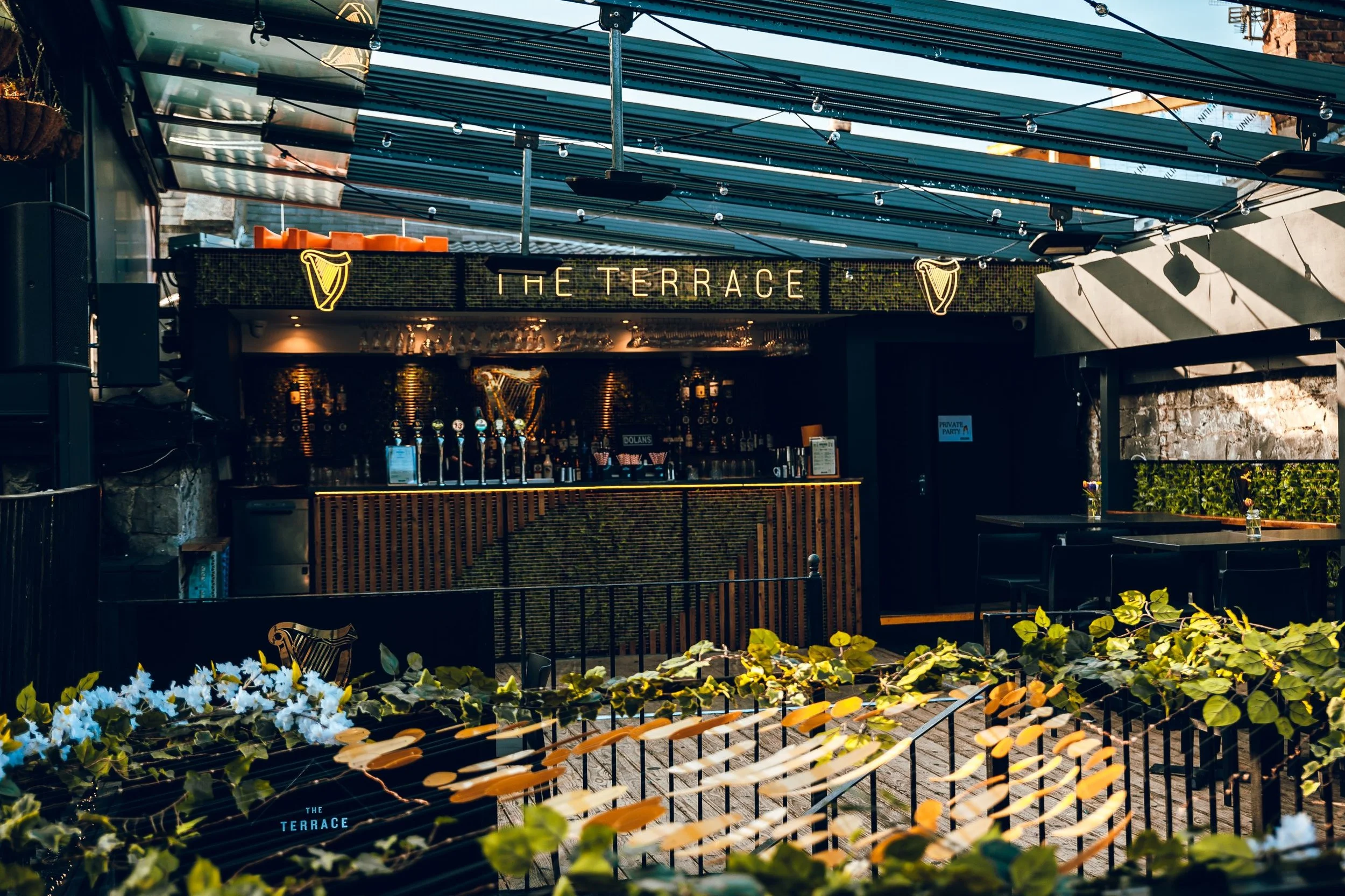 Picture of the terrace.jpg