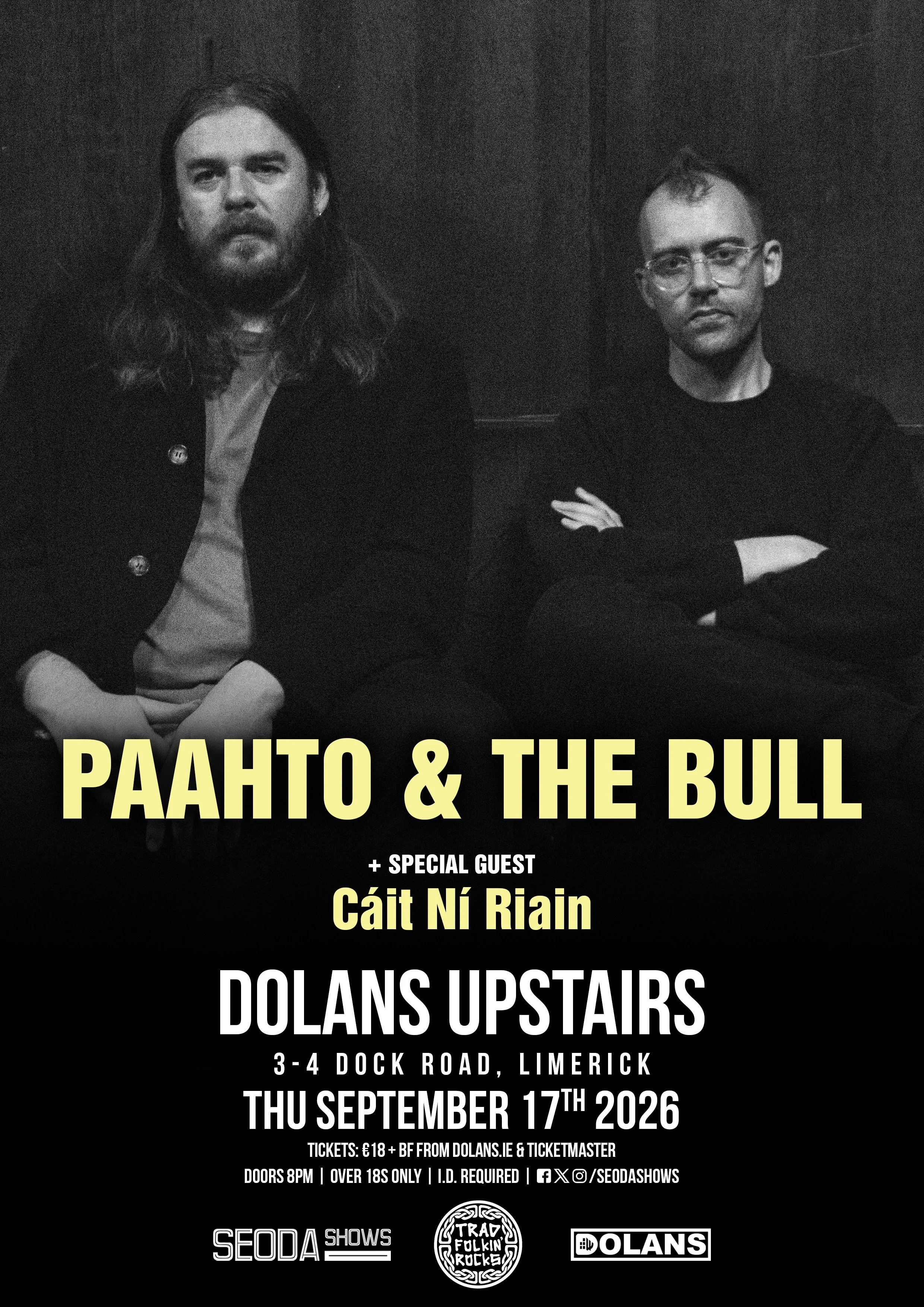 PaahtoAndTheBull_poster_3.jpg