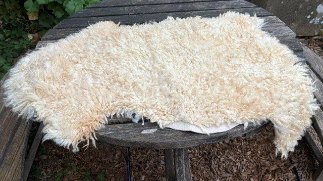 Plaw Hatch Sheepskin rug - Tanned by the Welsh Organic Tannery