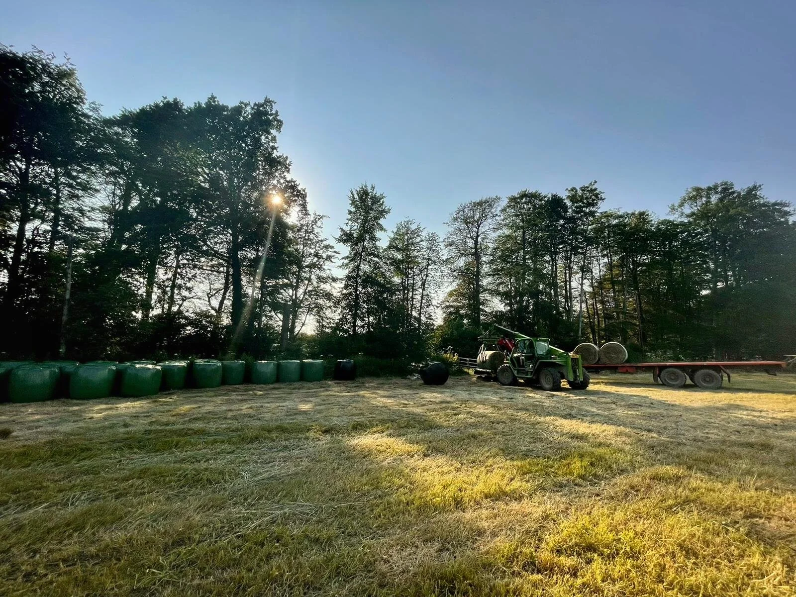 A summer of silage