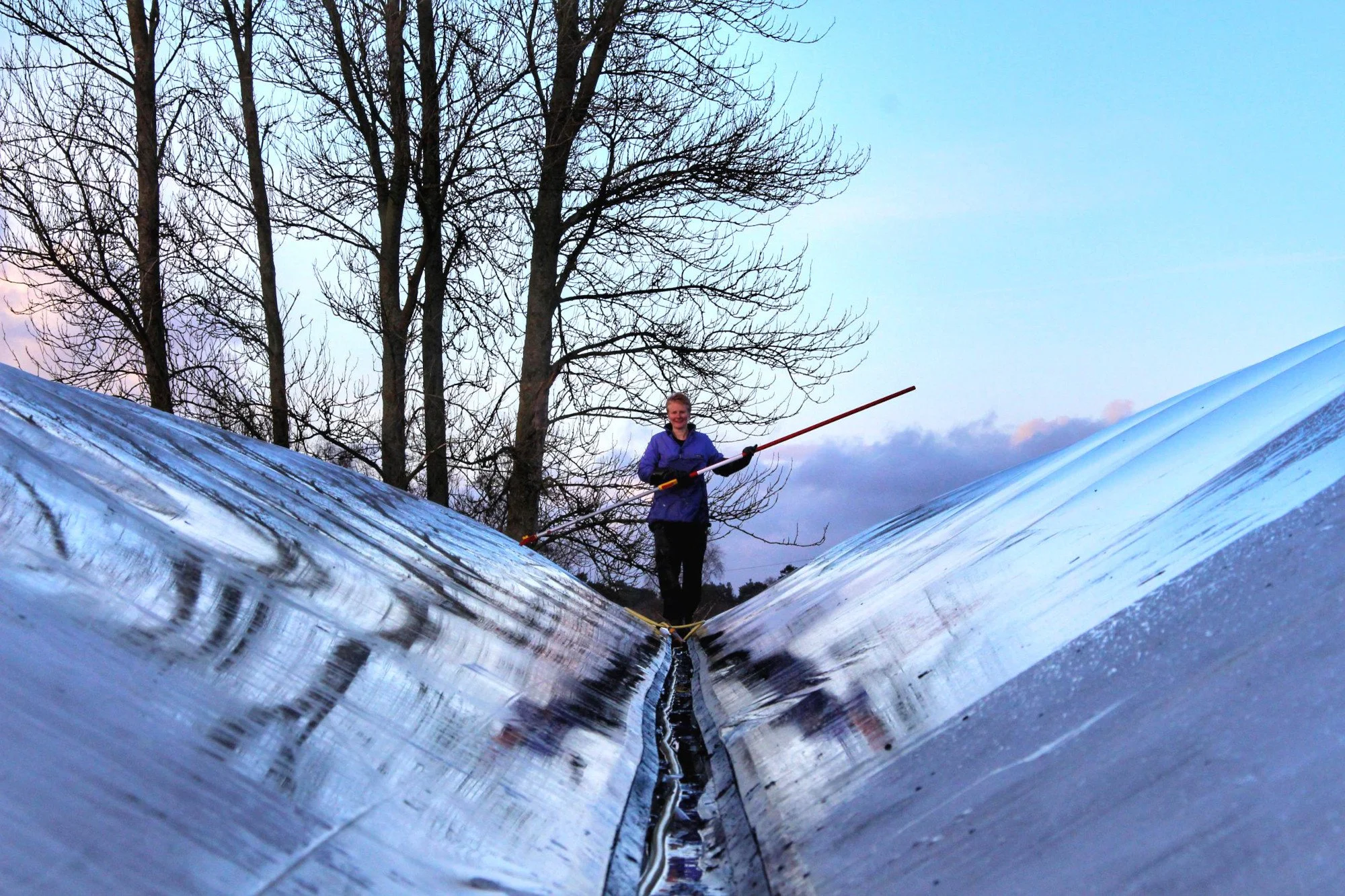 Winter jobs in the garden