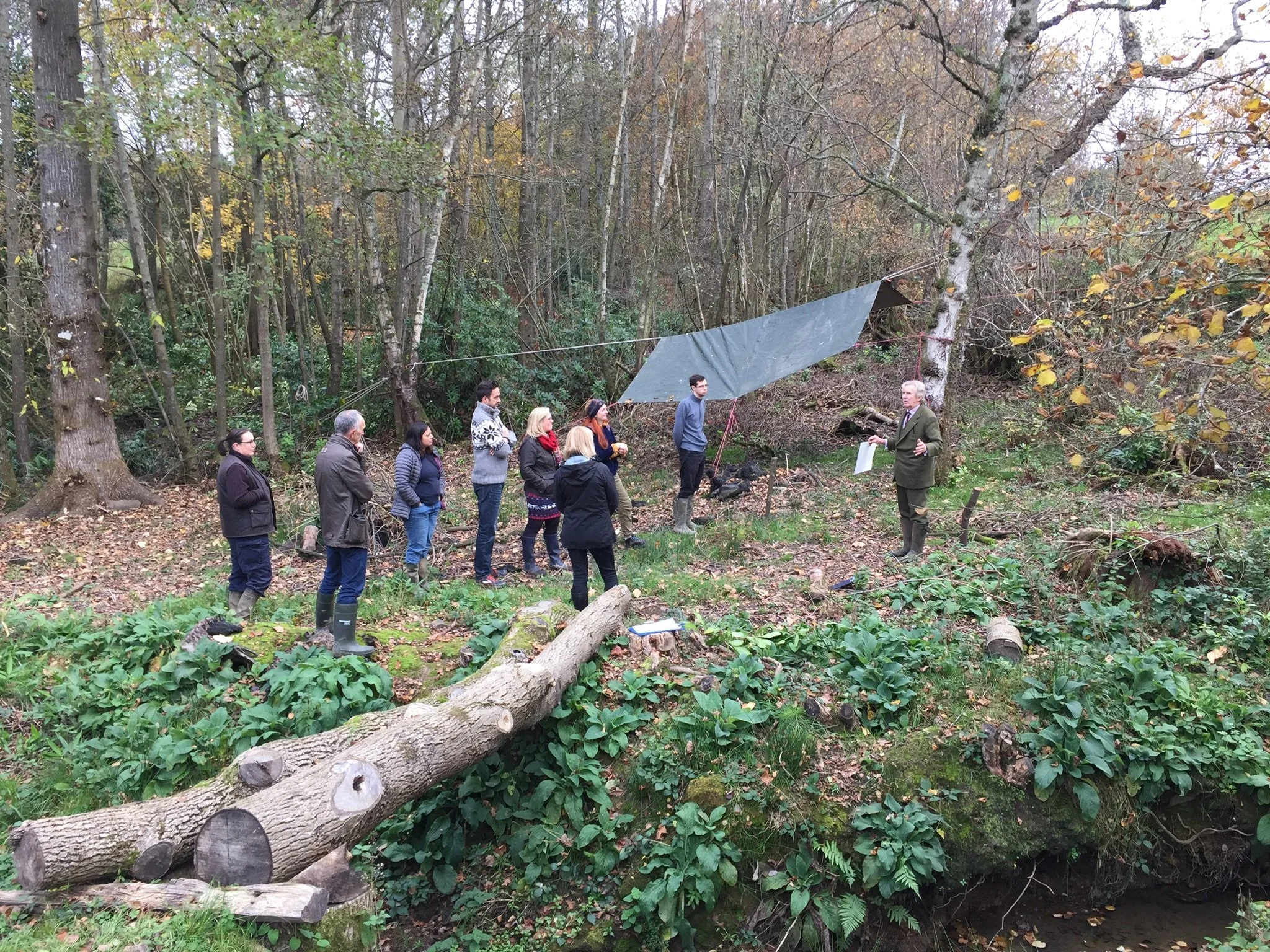 Woodland project