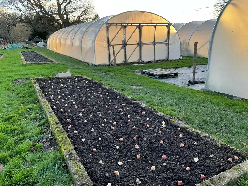 Flowers for the Garden