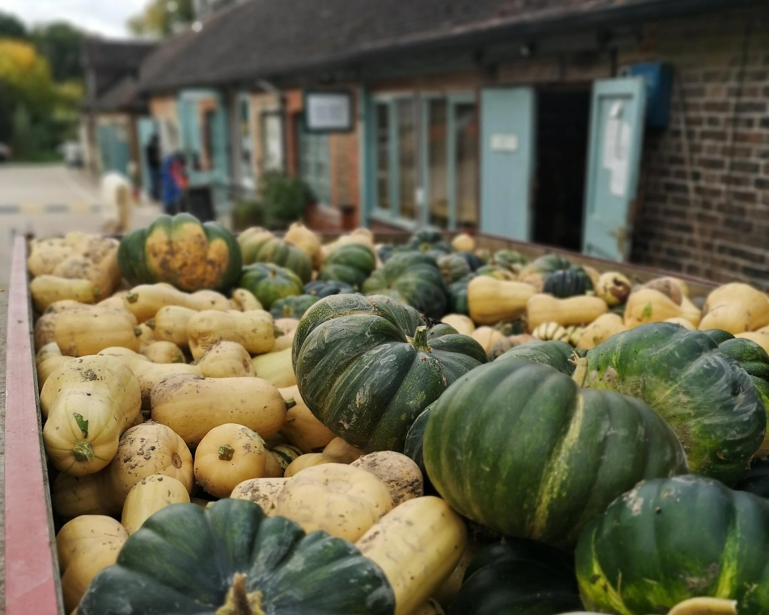 The season of plenty