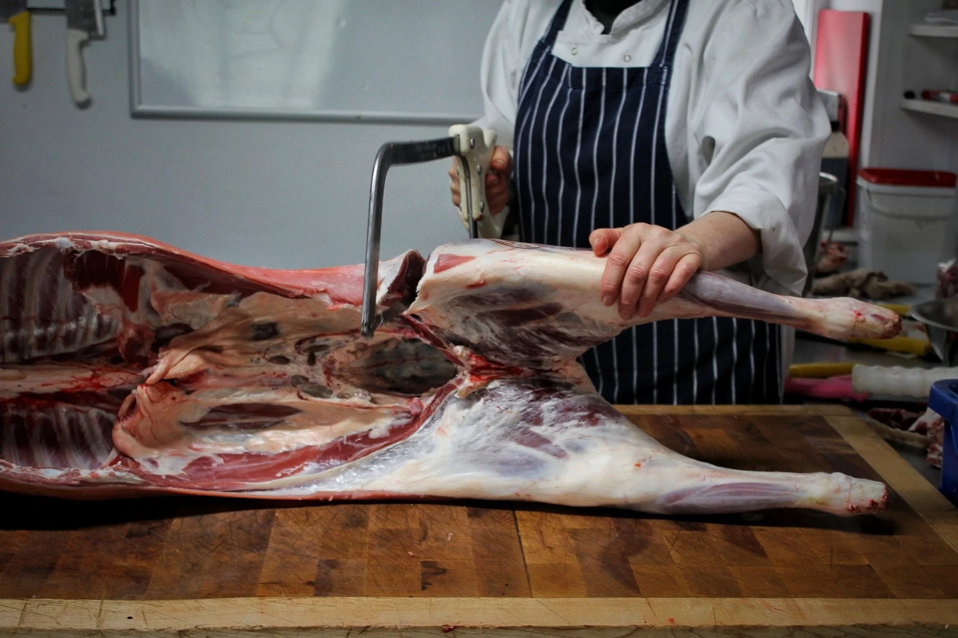 Consider your local abattoir