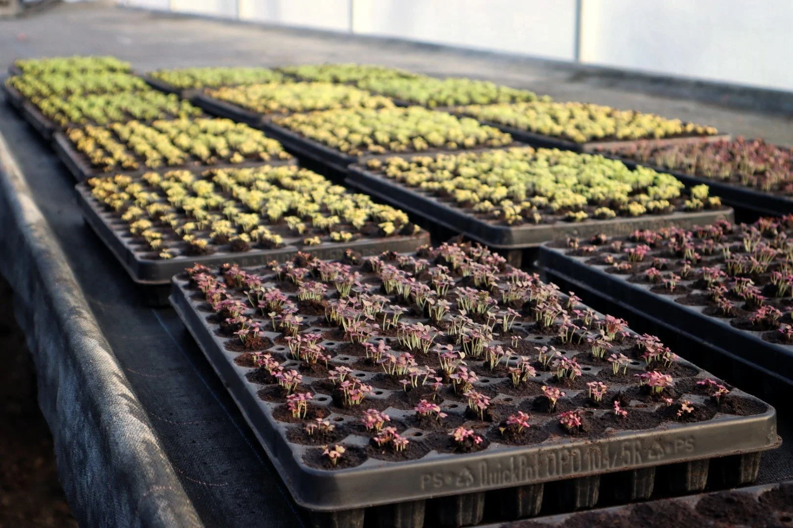 Planning for the season ahead