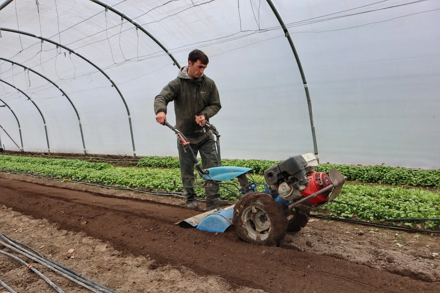 Hello from Jake: the garden apprentice