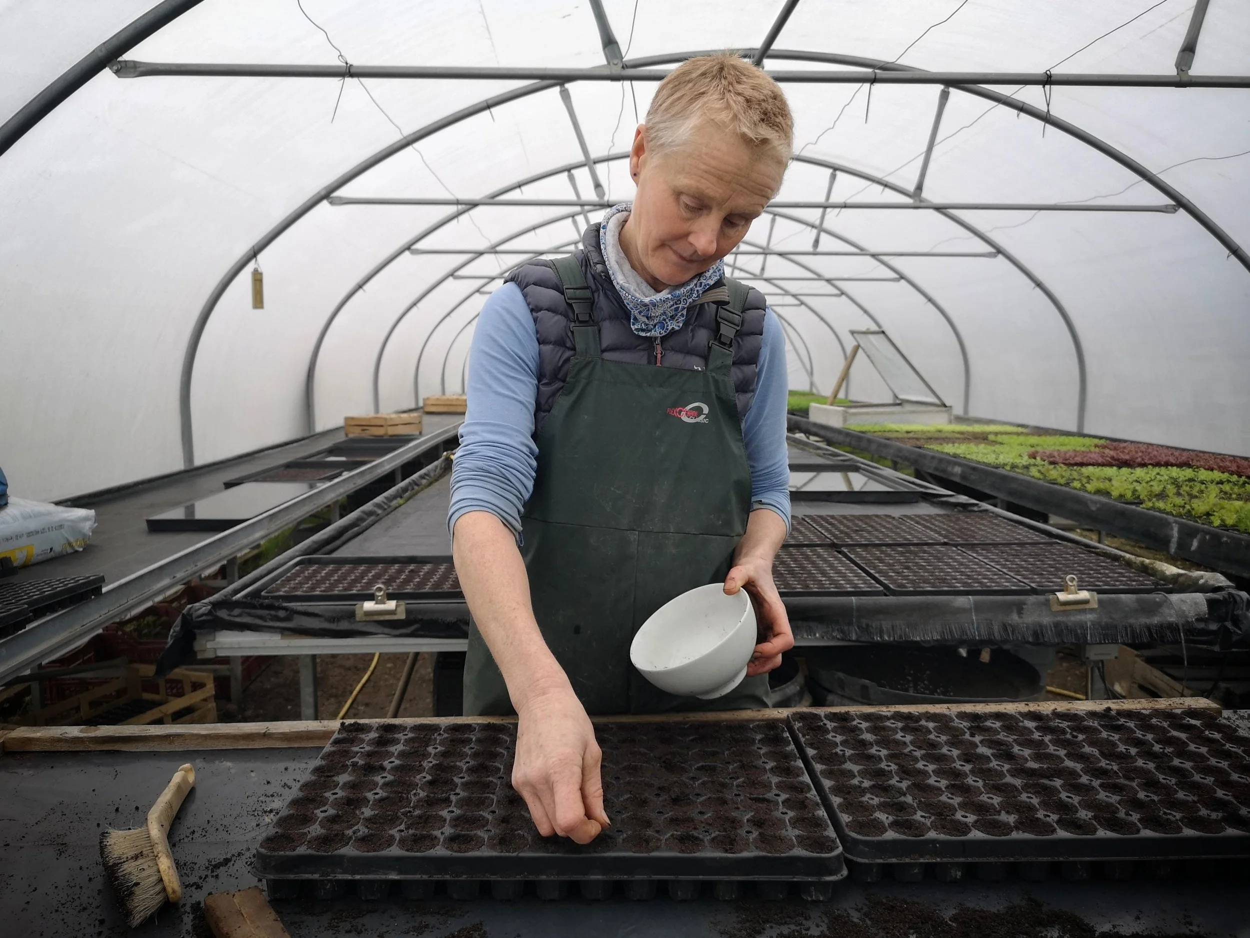 Anticipating the arrival of Spring