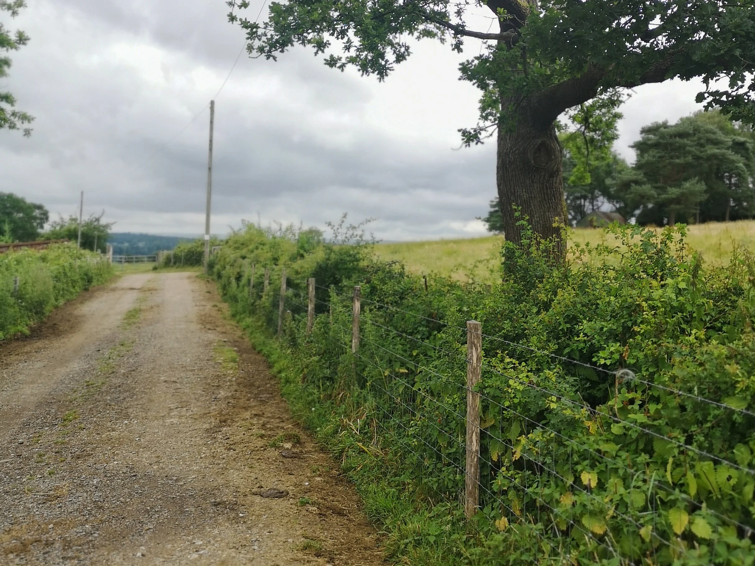 Our kind of hedge fund