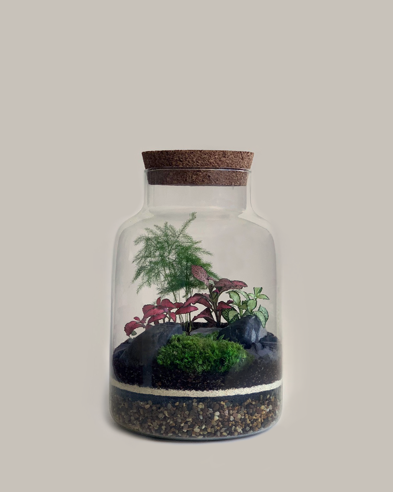 Medium Terrarium IG 4x5.png