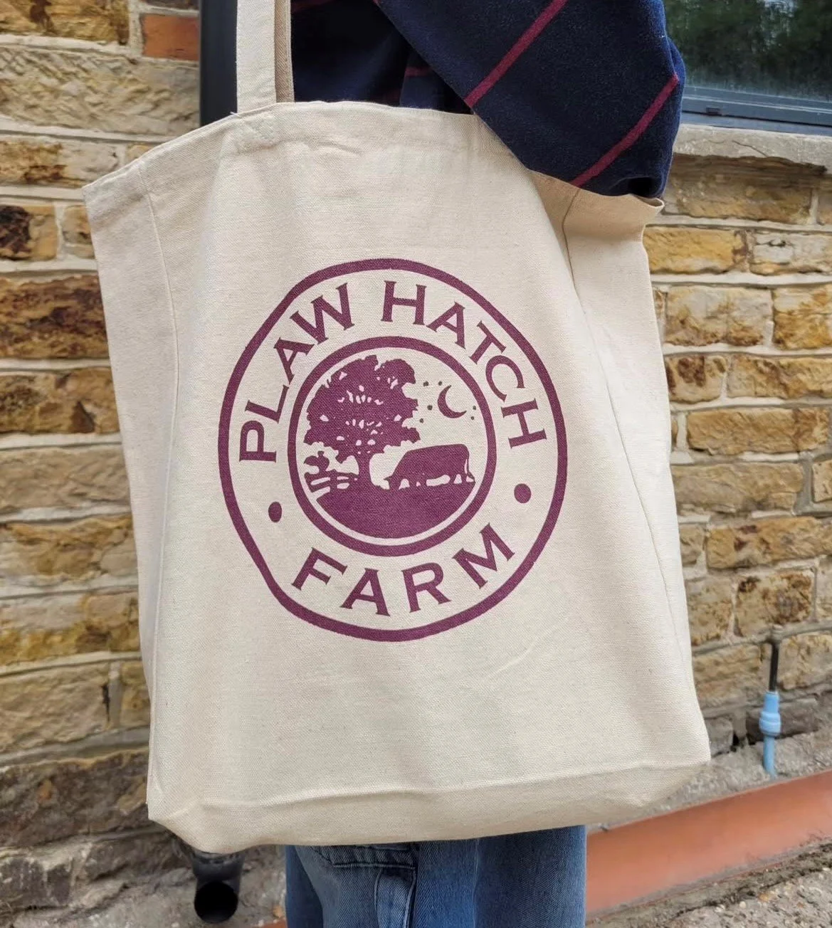 plum bag.jpg