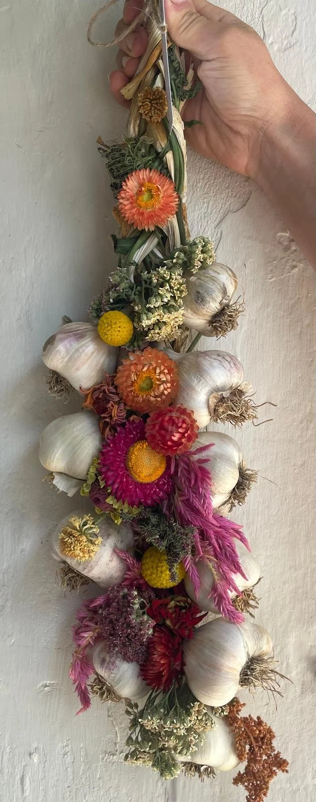 Garlic and flower plait workshop with garden tour on the 8th August at 11.00