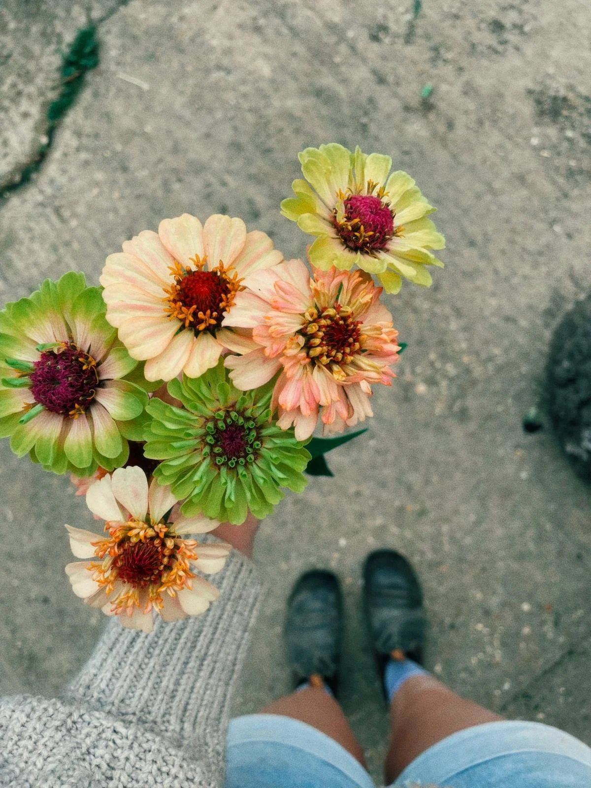 P.Y.O Flower Evenings