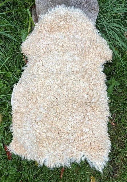 sheepskin rugg.jpg
