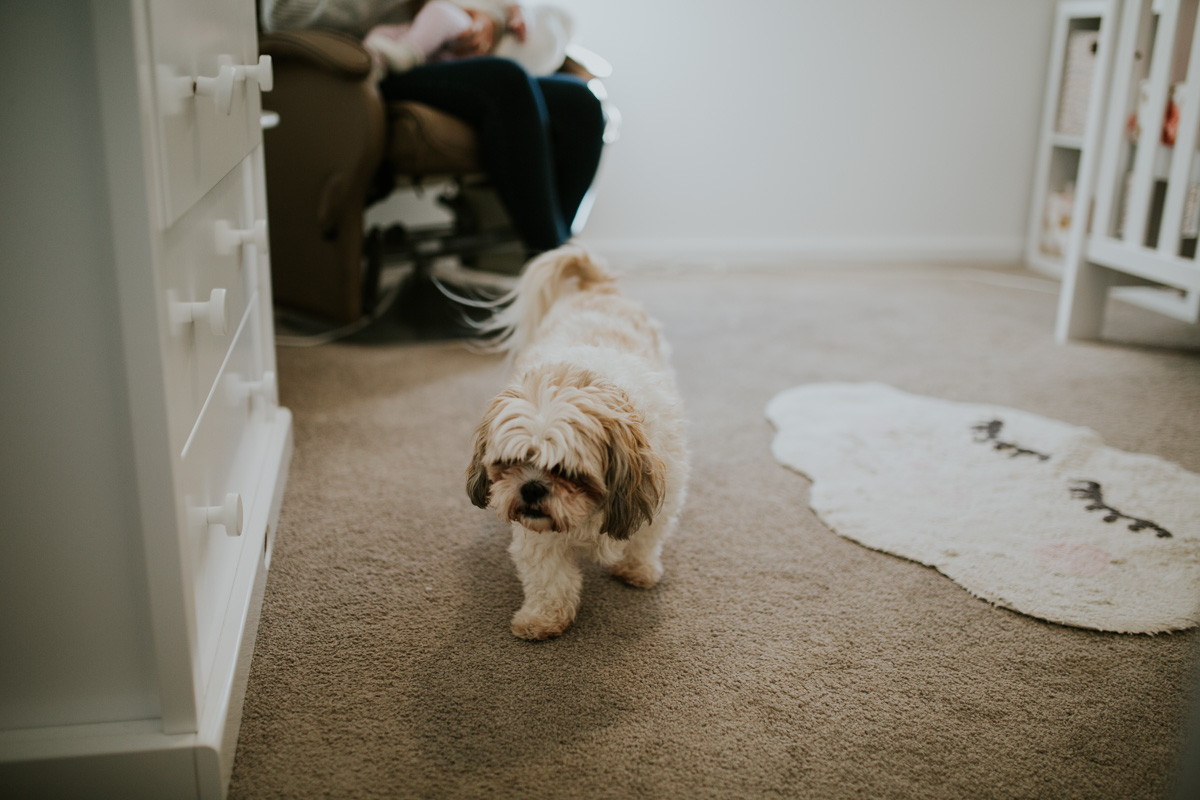Just Another Mummy Blog-52.jpg