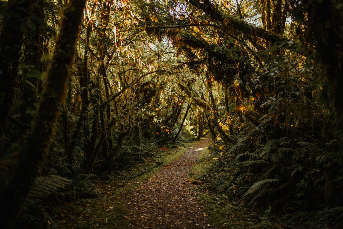 New_zealand_road_trip_westcoast_hokitika-52.jpg