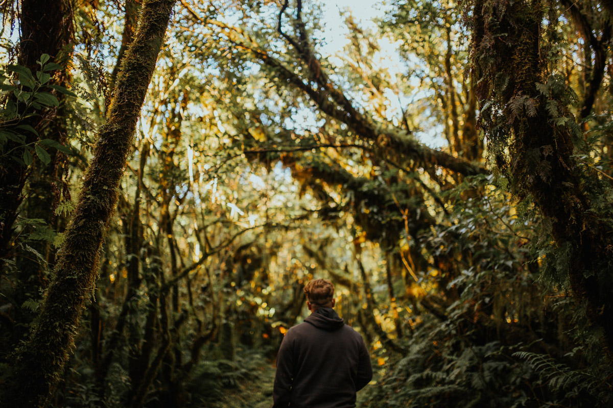 New_zealand_road_trip_westcoast_hokitika-53.jpg