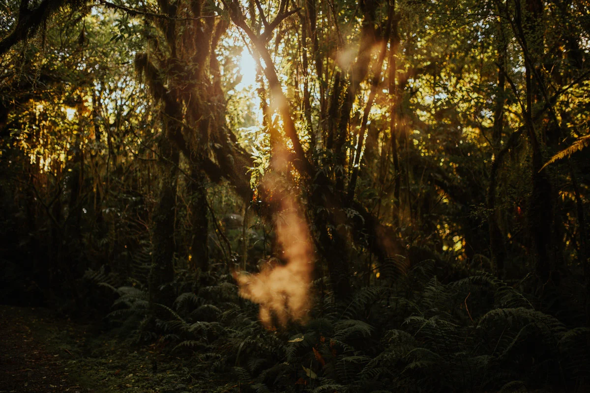 New_zealand_road_trip_westcoast_hokitika-54.jpg