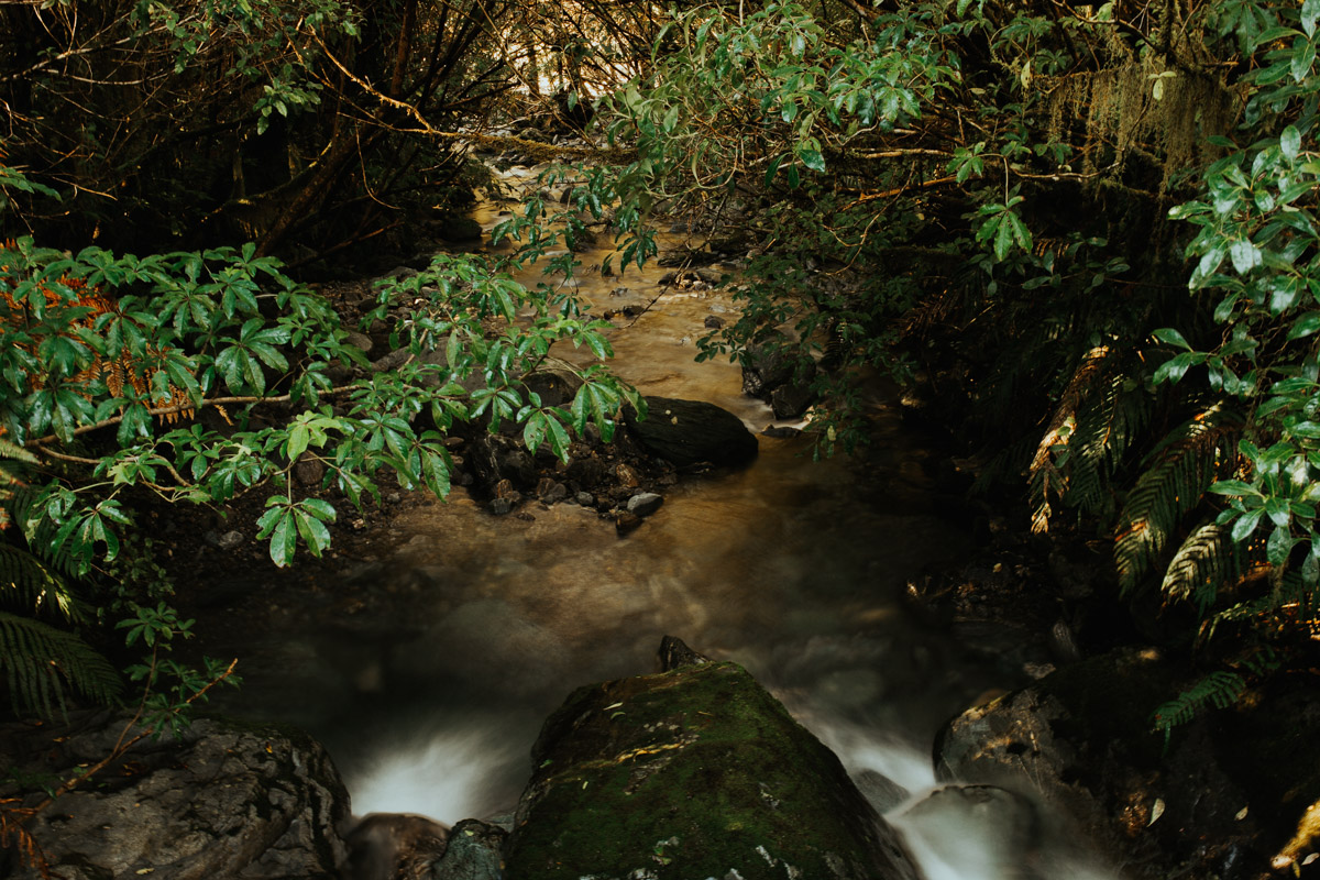 New_zealand_road_trip_westcoast_hokitika-58.jpg