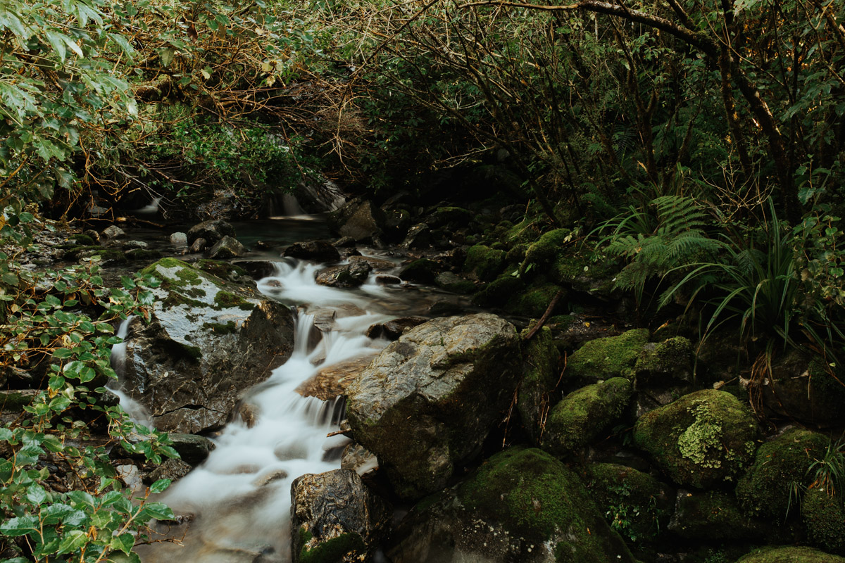 New_zealand_road_trip_westcoast_hokitika-59.jpg