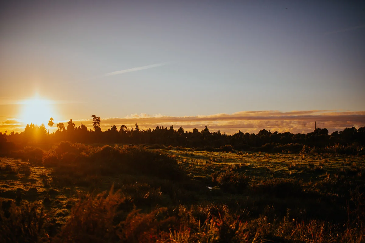 New_zealand_road_trip_westcoast_hokitika-62.jpg