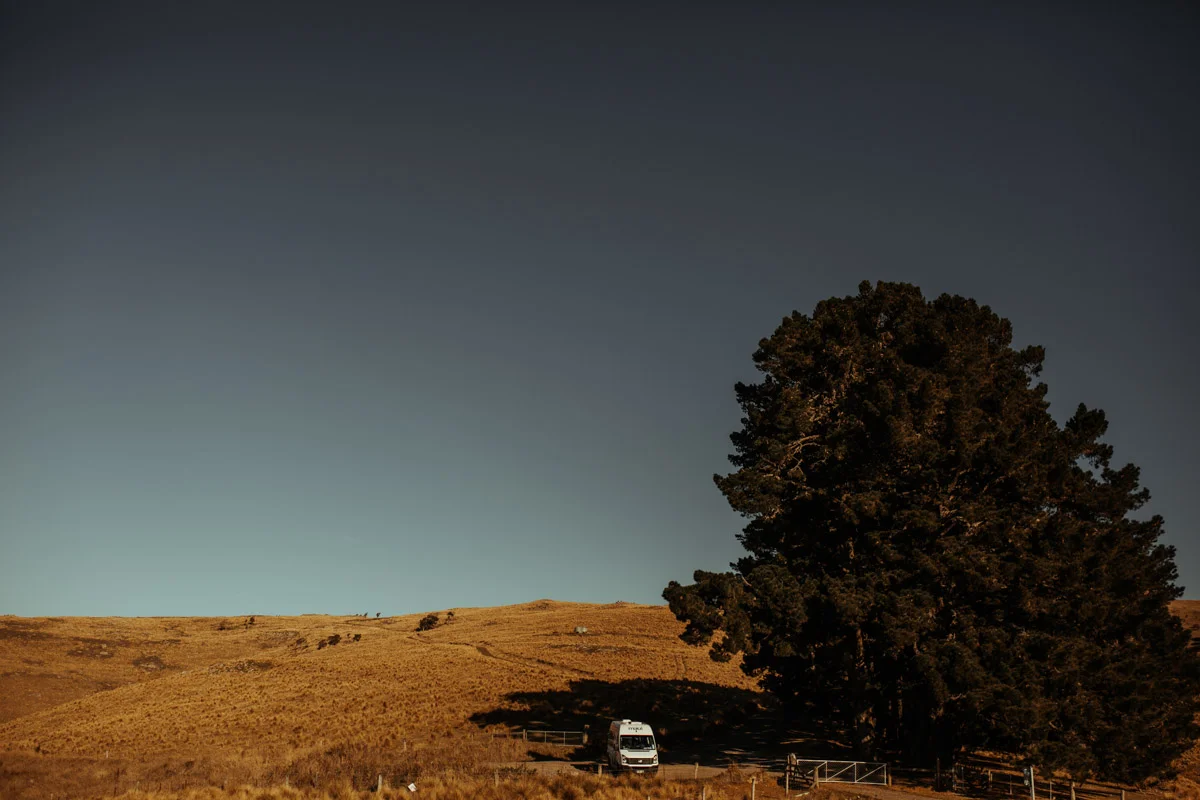 New_zealand_road_trip_littleton_Lake_tekapo-49.jpg